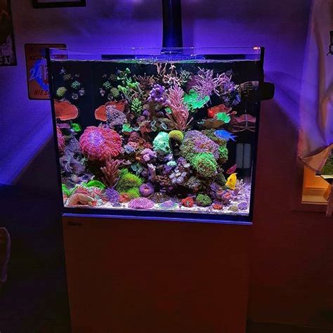 This Is A Tutorial On The Coralife Biocube 29 Gallon Upgrades And Mods