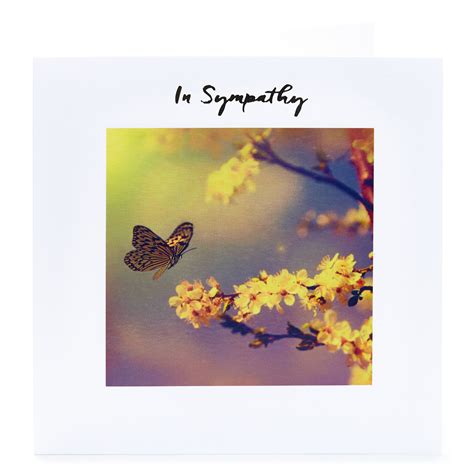 Buy Sympathy Card Butterfly And Flowers For Gbp 099 Card Factory Uk