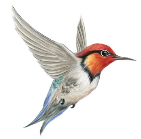 Free Transparent Bird Cliparts, Download Free Clip Art ...
