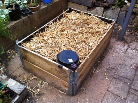 How to make a worm garden. Robert Childs - garden path: Wicking Worm Bed