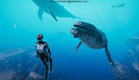 Beyond Blue A Video Game That Might Save The Ocean The Inertia