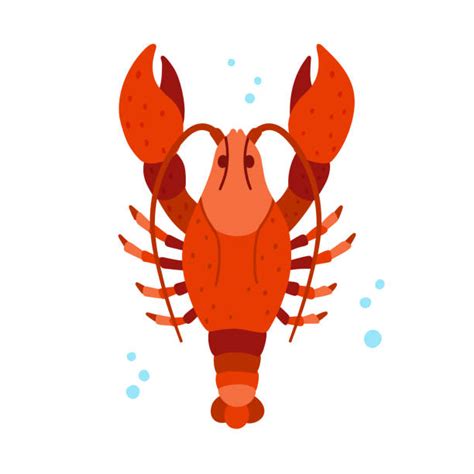 Funny Lobster Clip Art Illustrations Royalty Free Vector Graphics