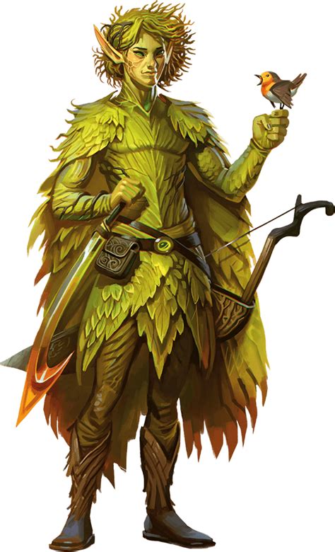 Dnd 5e Eladrin Elf Dungeons And Dragons Characters Fantasy Character