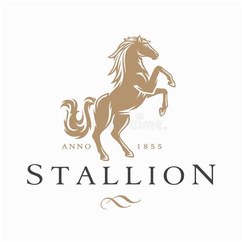 Wild Stallion Horse Logo Emblem Stock Vector Illustration Of Black
