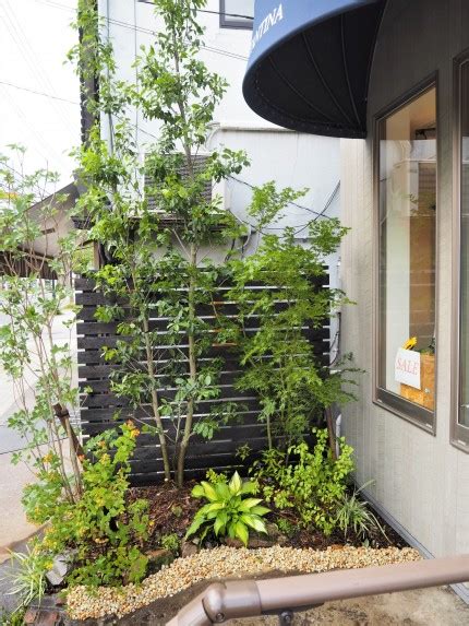 店舗植栽 軽井沢町T様 - 雑木の庭、庭づくり、水はけ改善、環境改善、お庭に関する ことなら中央園芸