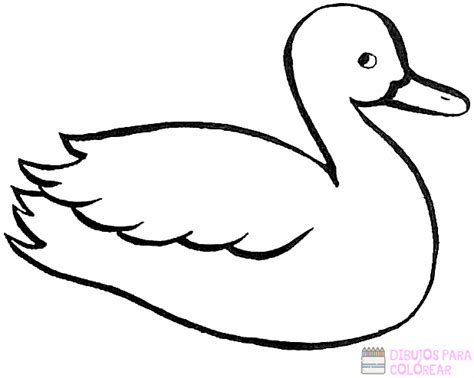 磊【2750】los Mejores Dibujos De Patos Para Colorear ⚡️ Dibujos Para