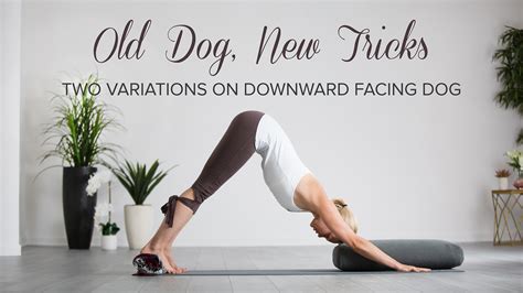 All our apps are free from now until february! Old Dog, New Tricks: Two Variations on Downward Facing Dog