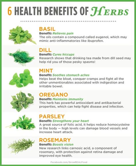 6 Health Benefits Of Herbs For Health And Wellness Tips Gardening Tips