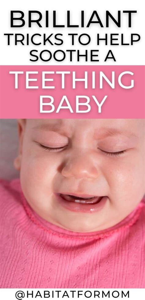 A Guide For Your Teething Baby Symptoms And Relief Habitat For Mom