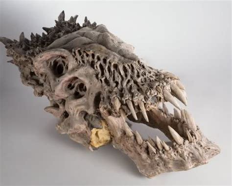 Predator 2 Trophy Skulls Anatomy Sculpture Animal Paintings Alien Skull