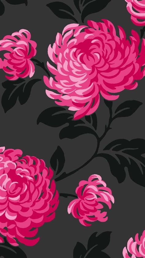 Black Background Pink Flowers Wallpaper Blangsak Wall
