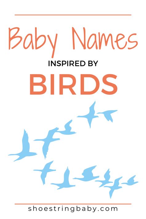 65 Bird Themed Baby Names Meanings Shoestring Baby