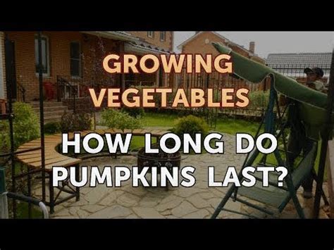 While you can always whip up a batch of strawberry fruit leather before the berries all start to turn, you blueberries and blackberries i cleaned and stored in the freezer because i didn't trust them to last. How Long Do Pumpkins Last? - YouTube