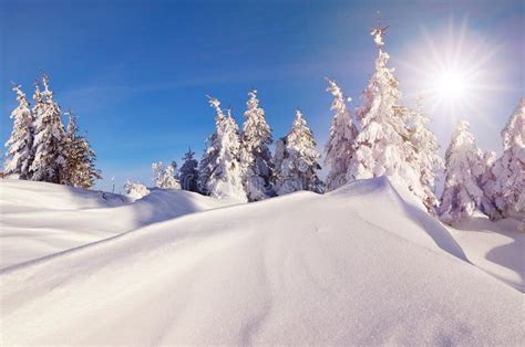 Sunny Winter Landscape Stock Image Image Of Forest Climate 34195037