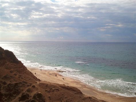 בחודשים האחרונים נוספו שני מתקנים: שמורת הטבע חוף השרון - שפיים | הוטלס בלוג