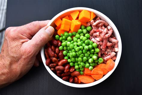 The new science of feeding your dog for optimum health. Dog Mince Beef Recipe for Homemade Dog Food | The Canine ...