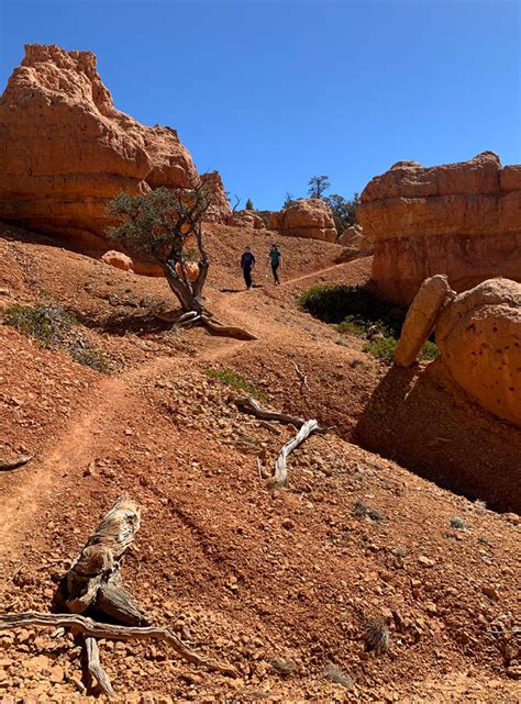 Red Canyon Arches Trail In Losee Canyon