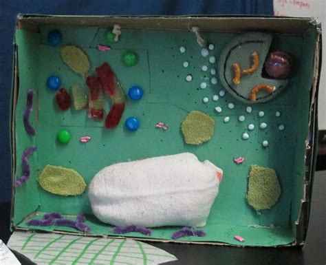 Check spelling or type a new query. Plant cell with sock for vacuole, 2014. | Cell model ...