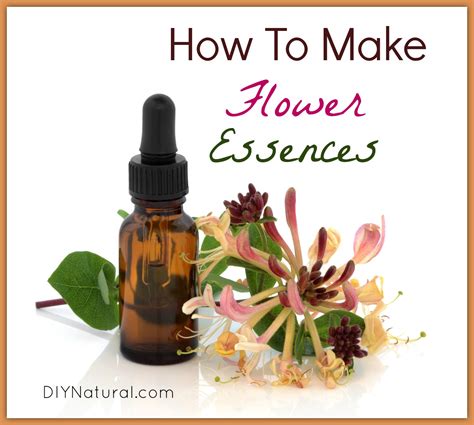 How To Make Flower Essences And Ideas To Get You Started