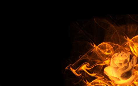 Your fire background stock images are ready. rose fire black background HD wallpaper