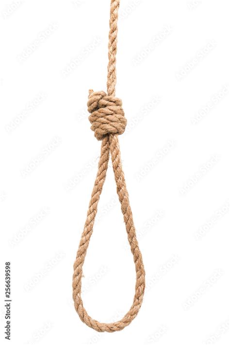 Gallows Hanging Rope Knot Tied Noose White Isolated Stock Photo Adobe