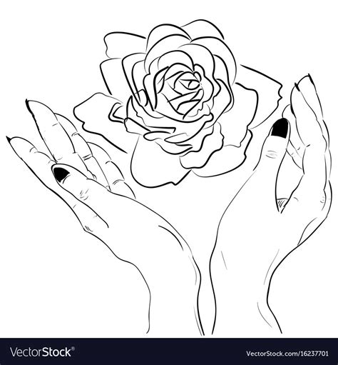 Hand Holding Flower Drawing Best Flower Site
