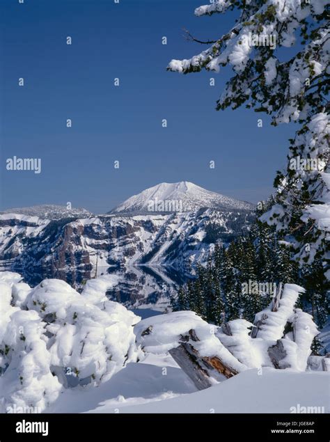 Usa Oregon Crater Lake National Park Winter Snow Accumulates At