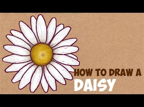 Finish the daisy drawing by adding in the remaining petals and drawing the stem. How to Draw a Daisy Flower Easy Step by Step Drawing ...
