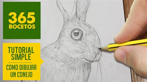 Como dibujar un conejo facil para niños. COMO DIBUJAR UN CONEJO FACILMENTE - YouTube
