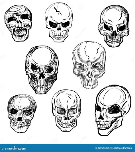 Hand Drawn Skull Vector Setsticker Skull Tattoosketch Style Skull