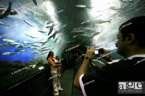 Sgp Singapore Oceanarium Underwater World Sentosa Huge Troopical