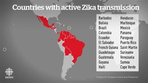 Zika Virus Outbreak Spreading Explosively Who Health Cbc News
