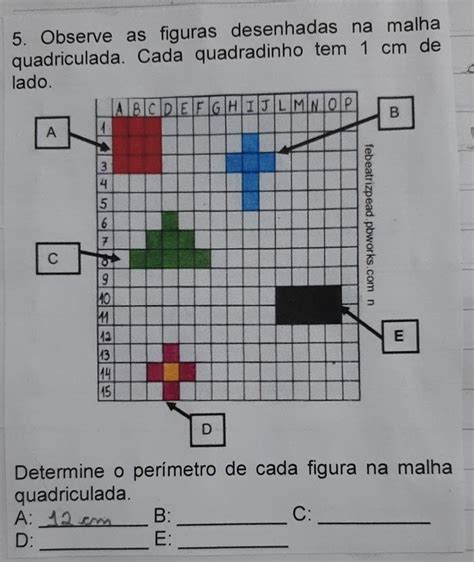 Observe As Figuras Desenhadas Na Malha Quadriculada Cada