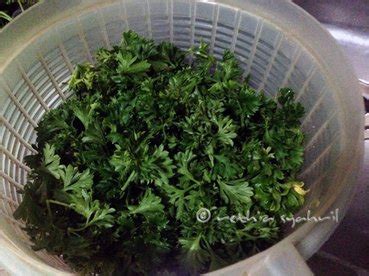 Pertama potong kuntum parseley dr batangnya. 5/365: Cara Membuat Parsley Kering