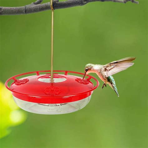 Hummingbird Feeders For Outdoors Saucer Hummingbird Feeder For Window Leak Proof Easy To