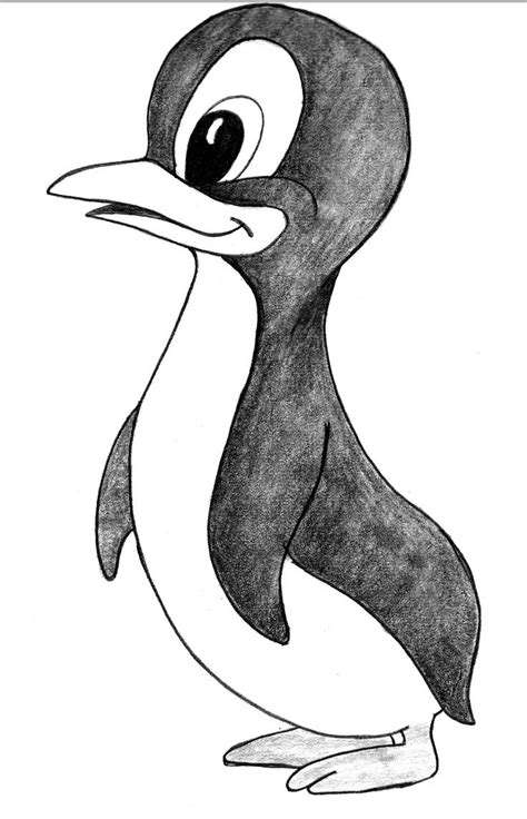 Penguin Sketch Drawing Erposanocomiendoyjugando