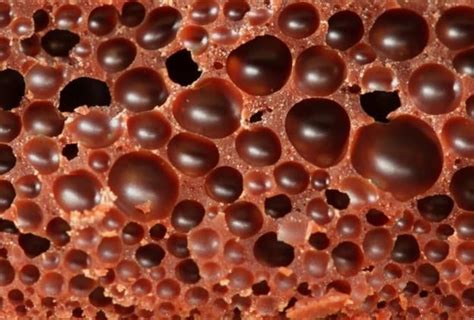Warning Do Not Look At These Photos If You Re Afraid Of Holes What S Trypophobia Memes