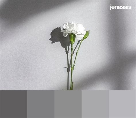 25 Aesthetic Color Palettes For Every Aesthetic Gridfiti