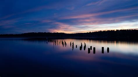 Download Wallpaper 2048x1152 Lake Sunset Silhouettes