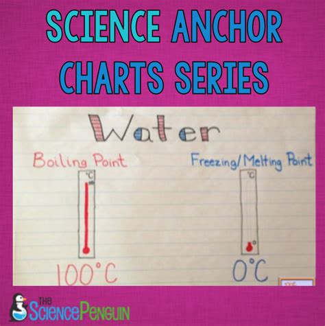 Physical Science Anchor Charts — The Science Penguin