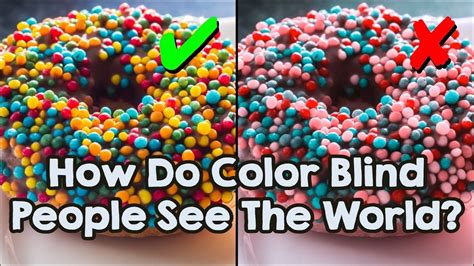 How Do Color Blind People See The World Color Blind Color Blinds
