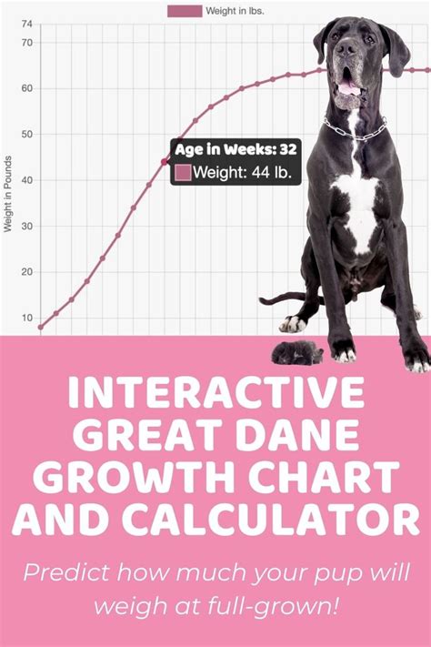 Simply fill in the fields below and click calculate. Interactive Great Dane Growth Chart and Calculator - Puppy ...