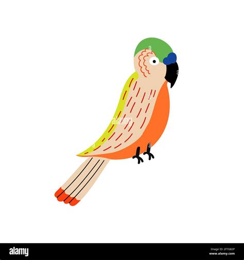 White Parrot Stock Vector Images Alamy