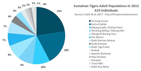 The Sumatran Tiger In 2020