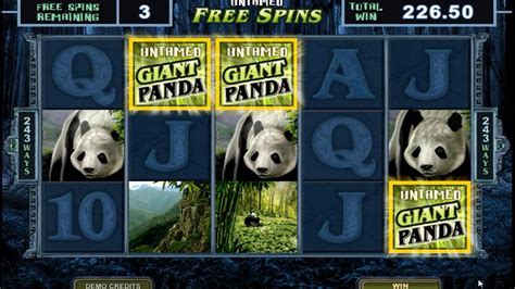 Untamed Giant Panda Slot Review Youtube