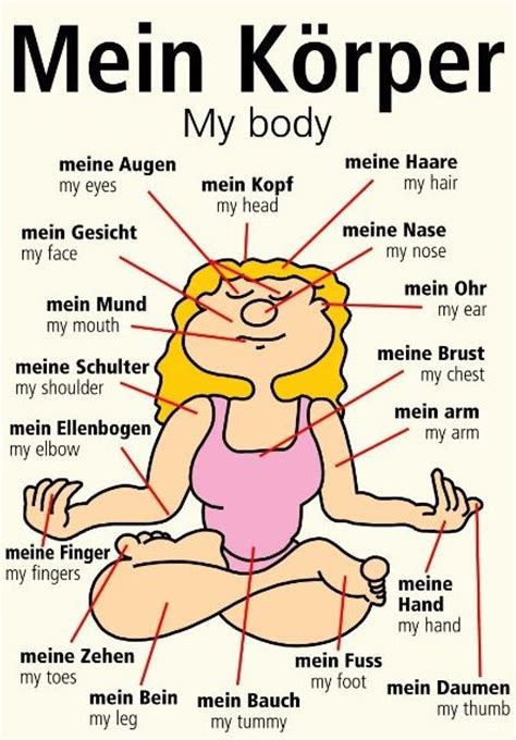 Body parts in German … | Pinteres…