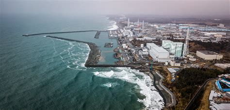 The Fukushima Daiichi Nuclear Power Plant Disaster