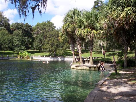 Take your pick at ocala national forest, which has over a dozen campgrounds, from primitive read more. Salt Springs in Ocala National Forest | Ocala national ...