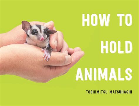 How To Hold Animals Is A Book To Curl Up With The Provincetown