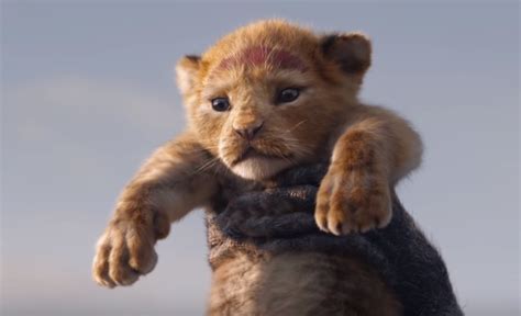Watch Teaser Trailer For The Lion King Reboot Will Give You Goosebumps